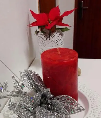 Soul Surfer Apartament Peniche